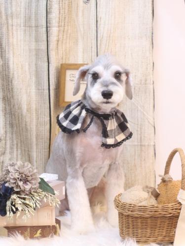 20241026りくくん